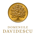 logo-min2